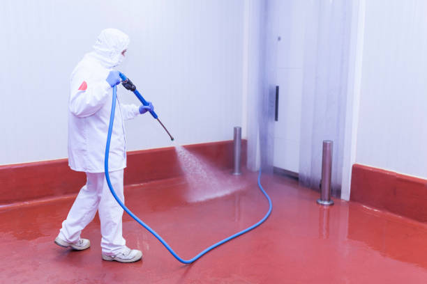 Best House Exterior Washing  in Perth Amboy, NJ